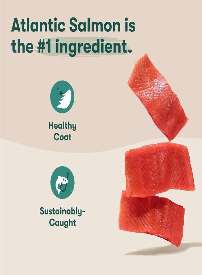 Jinx Premium Dry Dog Food, for All Life-Stages - Real Salmon, Brown Rice & Sweet Potato Kibble with Superfoods for Immune Support & Probiotics for Digestive Support - No Fillers – 4lb - Image 2